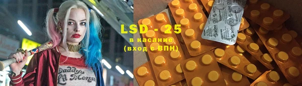 шишки Лабытнанги