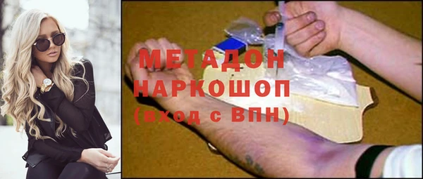 шишки Лабытнанги