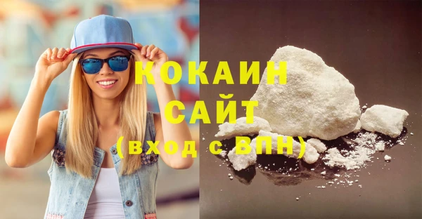 шишки Лабытнанги