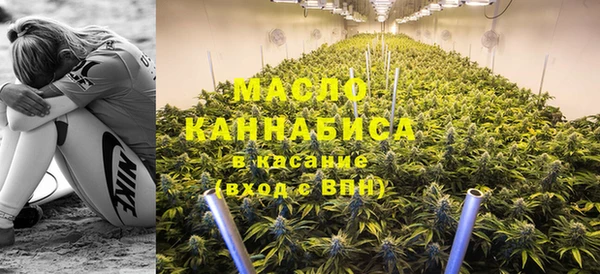 сатива Кукмор